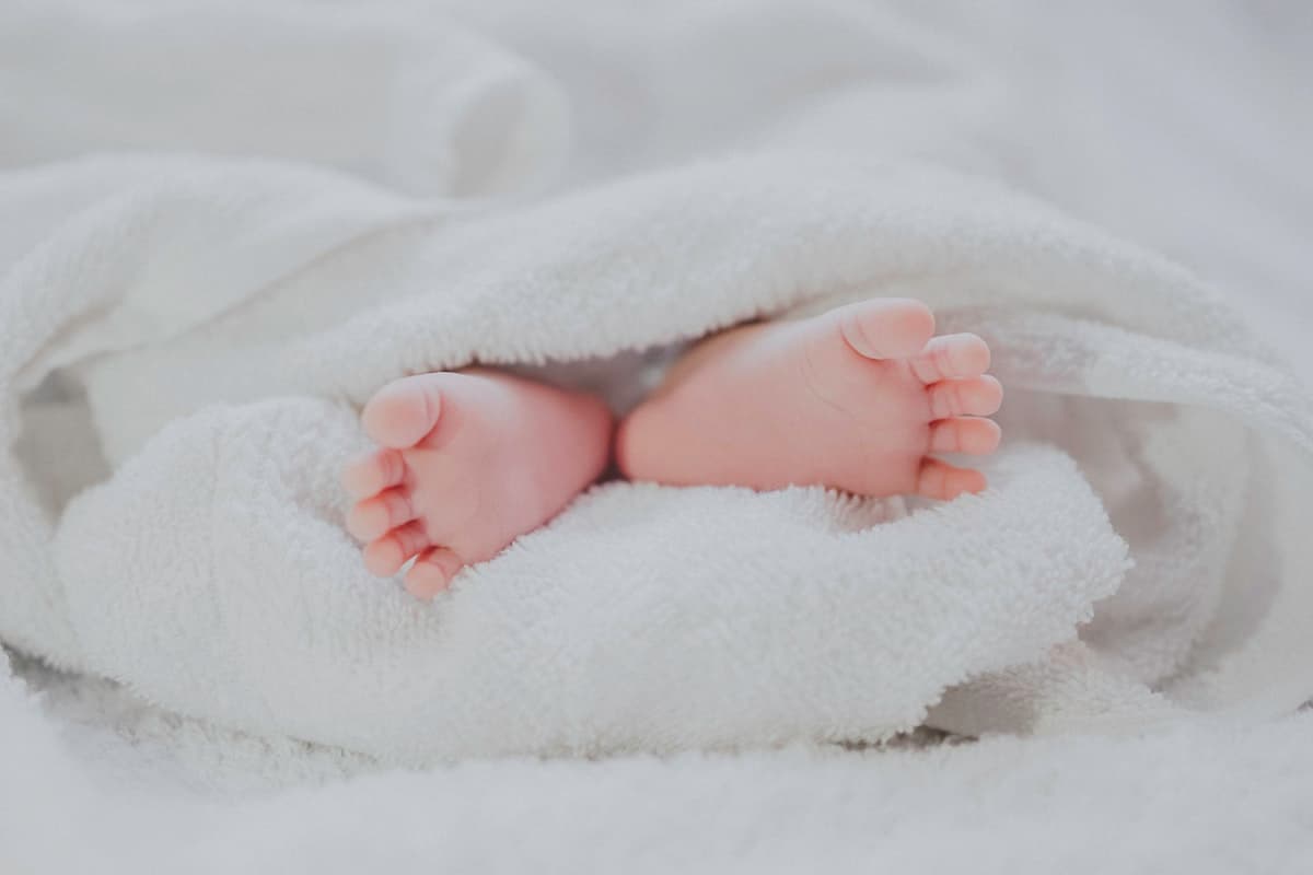 Usia 18 Bulan, 18 Iklan: Bayi Jae-i Kini Menjadi Wajib Pajak